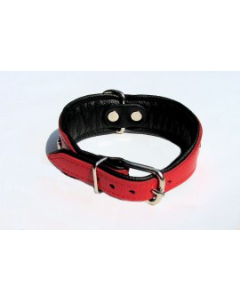 Collier en cuir rembourré SUPER pour chien