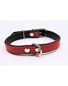 Collier en cuir rembourré SUPER pour chien