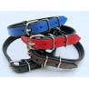 Collier en cuir rembourré SUPER pour chien