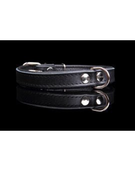 Collier en cuir rembourré SUPER pour chien