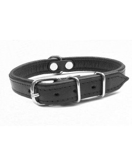 Collier en cuir rembourré SUPER pour chien