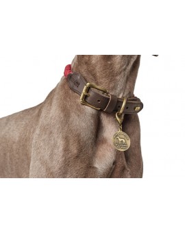 Kit collier et laisse en corde HUNTER