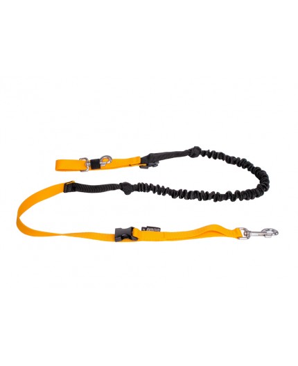 Laisse Canicross Élastique 2,5 m, Ligne de Trait (3RD-POLE)