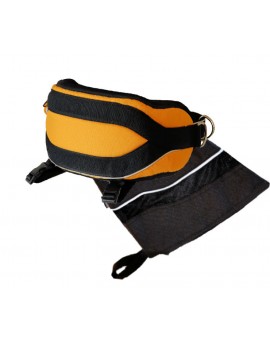 Kit Professionnel de canicross: Ceinture Confort Pro+Laisse extensible