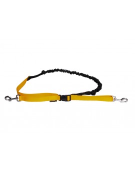 Kit Professionnel de canicross: Ceinture Confort Pro+Laisse extensible