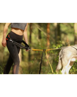 Laisse jogging amortisseur extensible 2m