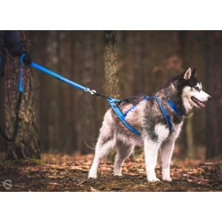 KIT LOISIR Mains Libres indispensable pour vous et votre chien:  - Ceinture+Laisse amortisseur Rouge: promenade, jogging