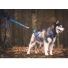 KIT LOISIR Mains Libres indispensable pour vous et votre chien:  - Ceinture+Laisse amortisseur Rouge: promenade, jogging
