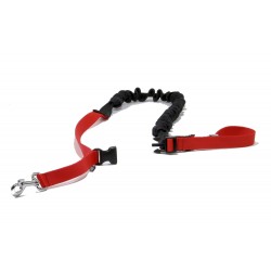 KIT LOISIR Mains Libres indispensable pour vous et votre chien:  - Ceinture+Laisse amortisseur Rouge: promenade, jogging