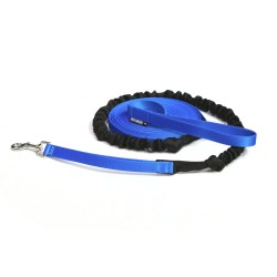 Laisse Longue Longe pour Chien avec Amortisseur: Dressage Entraînement Jogging Randonnée Natation