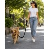 Icepeak Laisse chien mains libres, élastique, 110–144 cm, 2 mousquetons chromés, pour promenade et canicross loisirs
