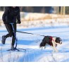Icepeak Laisse chien mains libres, élastique, 110–144 cm, 2 mousquetons chromés, pour promenade et canicross loisirs
