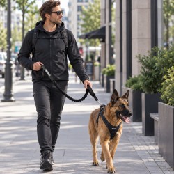 Laisse rétractable amortisseur avec 2 poignées rembourrée 2-2.5m