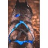 KIT CANICROSS: Ceinture Actifdog + Harnais X-Back Léger KIIR-O