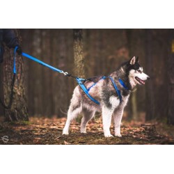 KIT CANICROSS: Ceinture Actifdog + Harnais X-Back Léger KIIR-O