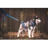 KIT CANICROSS: Ceinture Actifdog + Harnais X-Back Léger KIIR-O