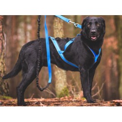 KIT CANICROSS: Ceinture Actifdog + Harnais X-Back Léger KIIR-O