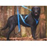 KIT CANICROSS: Ceinture Actifdog + Harnais X-Back Léger KIIR-O