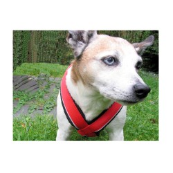 KIT CANICROSS: Ceinture Actifdog + Harnais X-Back Léger KIIR-O
