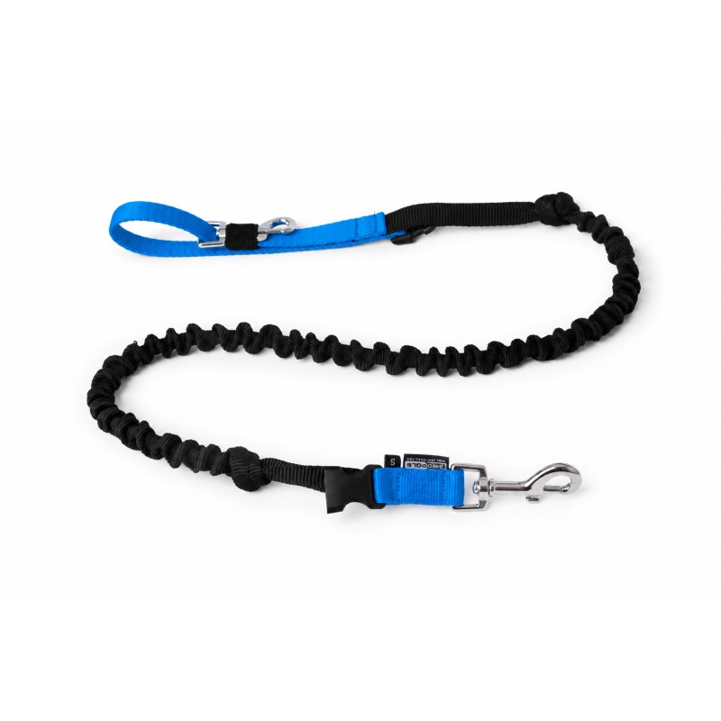Laisse canicross amortisseur extensible 2m