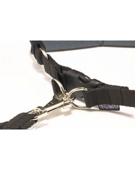 Ceinture ventrale Click&Run de promenade, jogging avec chien