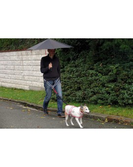 Manteau imperméable pour chien