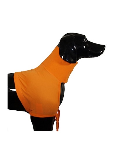 Maillot de protection coton pour chien ou chat