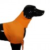 Maillot de protection coton pour chien ou chat