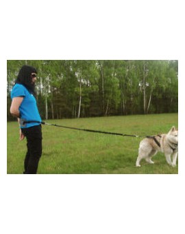 Kit Ceinture + Laisse amortissante 2m + Harnais X-back pour chien: jogging, course à pied, promenade