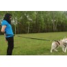 Kit Ceinture + Laisse amortissante 2m + Harnais X-back pour chien: jogging, course à pied, promenade