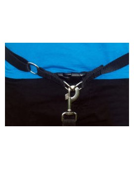 Kit Ceinture + Laisse amortissante 2m + Harnais X-back pour chien: jogging, course à pied, promenade