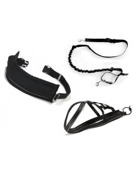 Kit Ceinture + Laisse amortisseur 2m + Harnais X-back pour chien: jogging, courir, promenade